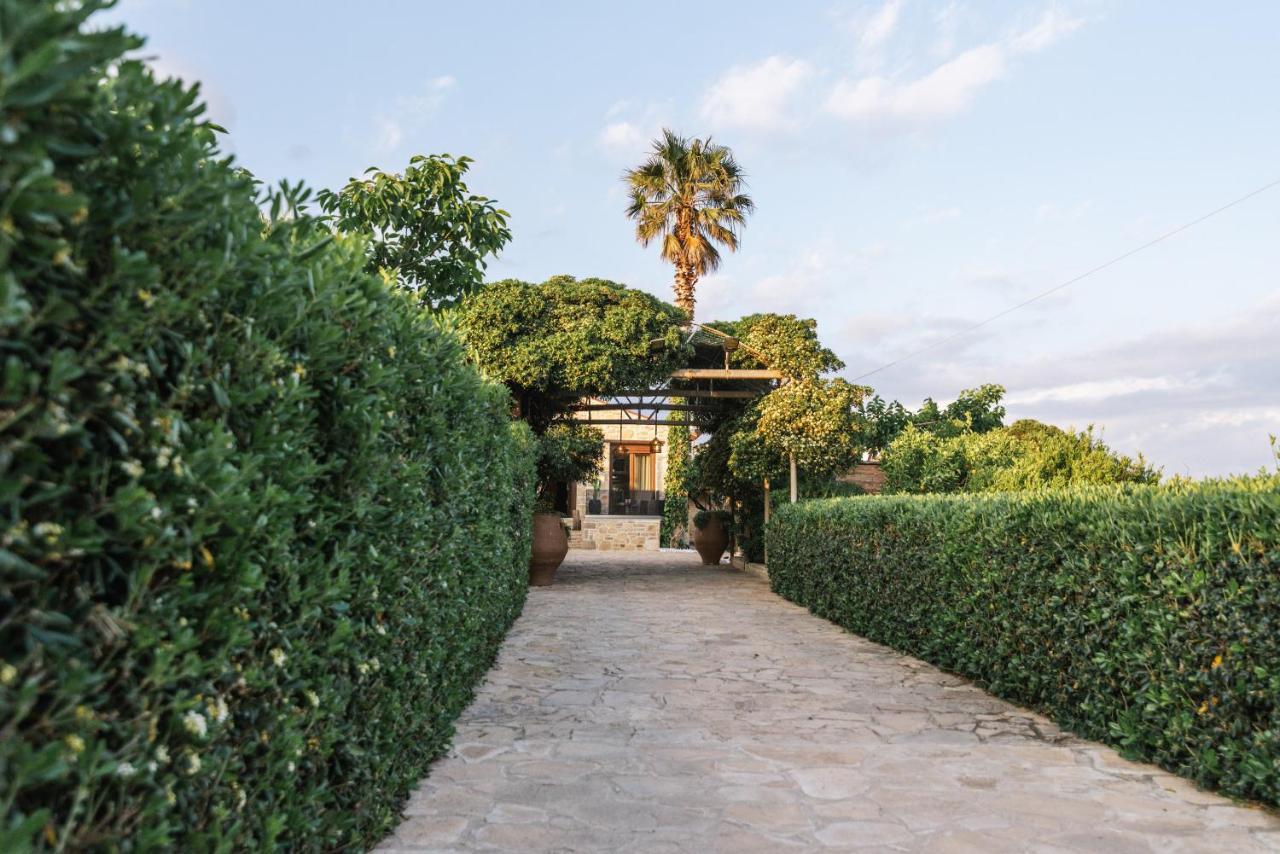 Villa Repsimia With Private Jacuzzi Kokkinos Pirgos Exterior photo